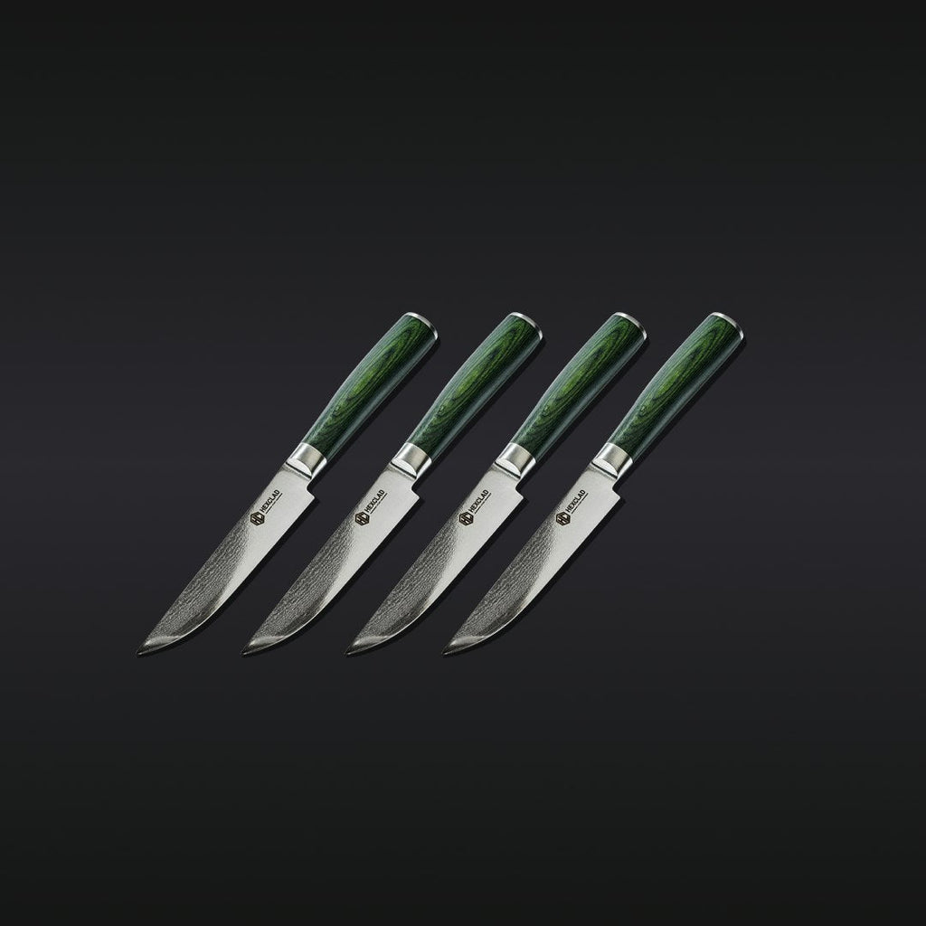 16pc Steak Knife and Bistecca Plate Set