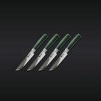 16pc Steak Knife and Bistecca Plate Set
