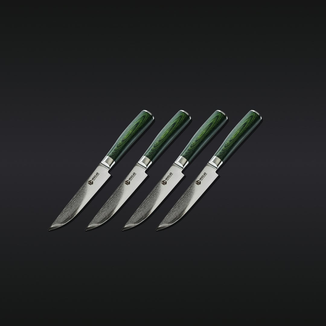 16pc Steak Knife and Bistecca Plate Set